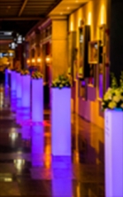 百得利之星奔馳年度客戶答謝會