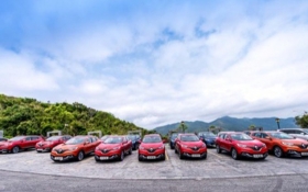 科雷嘉，挑戰你的本能